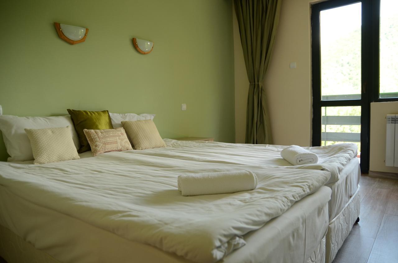 Park Hotel Ribaritsa Zewnętrze zdjęcie