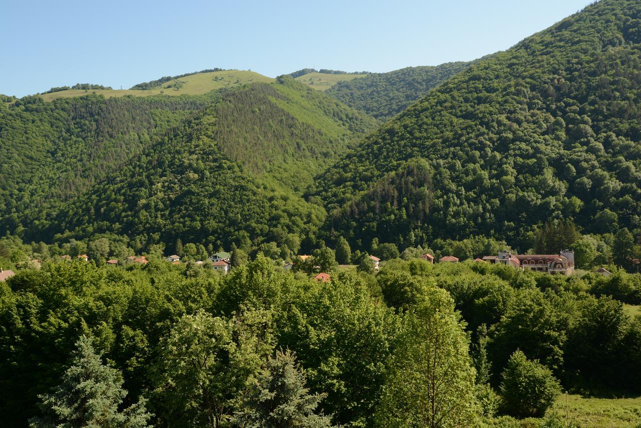 Park Hotel Ribaritsa Zewnętrze zdjęcie