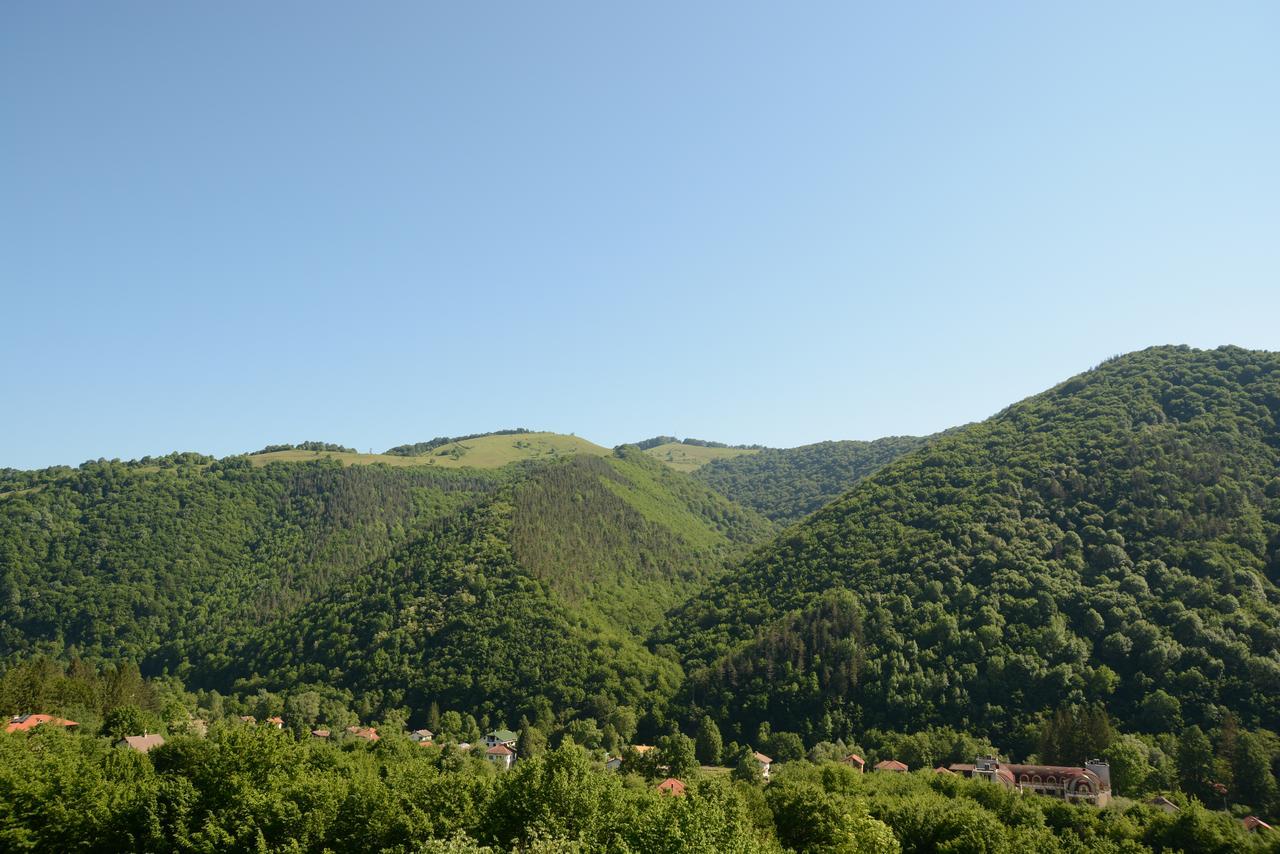 Park Hotel Ribaritsa Zewnętrze zdjęcie
